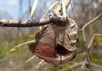 PC263274a.jpg